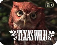 Texas Wild - 1 x 30 